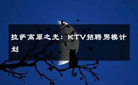拉萨高原之光：KTV招聘男模计划 