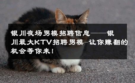 银川夜场男模招聘信息——银川最大KTV招聘男模-让你赚翻的机会等你来！ 
