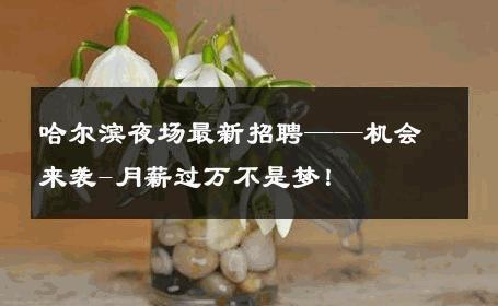 哈尔滨夜场最新招聘——机会来袭-月薪过万不是梦！ 