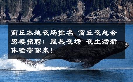 商丘本地夜场排名-商丘夜总会男模招聘：最热夜场-夜生活新体验等你来！ 