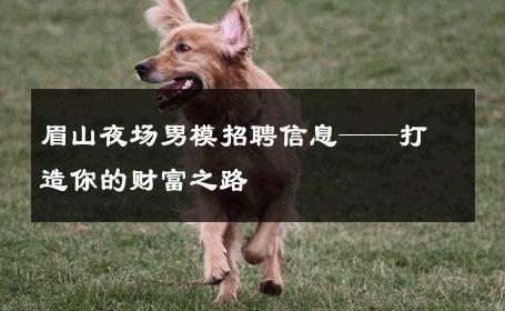 眉山夜场男模招聘信息——打造你的财富之路 