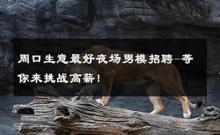 周口生意最好夜场男模招聘-等你来挑战高薪！ 
