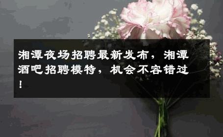 湘潭夜场招聘最新发布，湘潭酒吧招聘模特，机会不容错过！