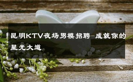 昆明KTV夜场男模招聘-成就你的星光大道 