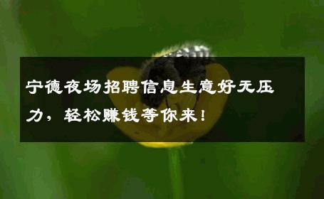 宁德夜场招聘信息生意好无压力，轻松赚钱等你来！