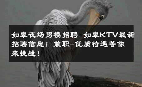 如皋夜场男模招聘-如皋KTV最新招聘信息！兼职-优质待遇等你来挑战！ 