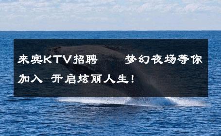来宾KTV招聘——梦幻夜场等你加入-开启炫丽人生！ 