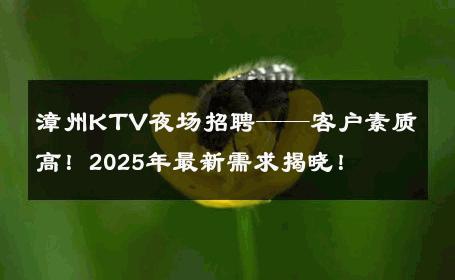 漳州KTV夜场招聘——客户素质高！2025年最新需求揭晓！ 