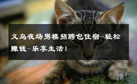 义乌夜场男模招聘包住宿-轻松赚钱-乐享生活！ 