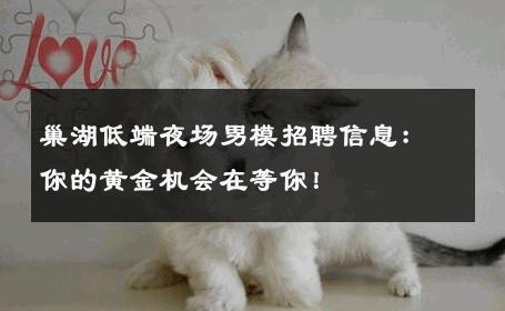 巢湖低端夜场男模招聘信息：你的黄金机会在等你！ 