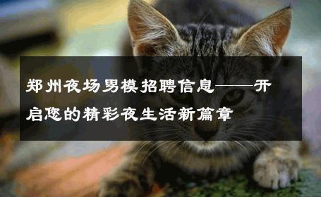 郑州夜场男模招聘信息——开启您的精彩夜生活新篇章 