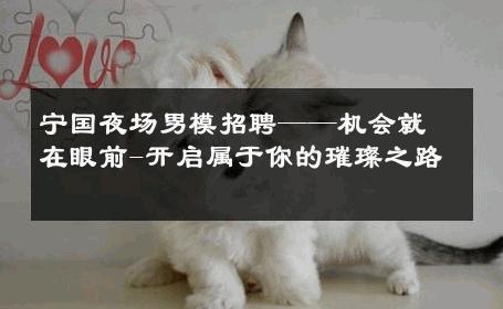 宁国夜场男模招聘——机会就在眼前-开启属于你的璀璨之路 