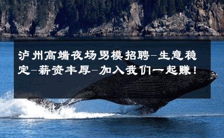 泸州高端夜场男模招聘-生意稳定-薪资丰厚-加入我们一起赚！ 