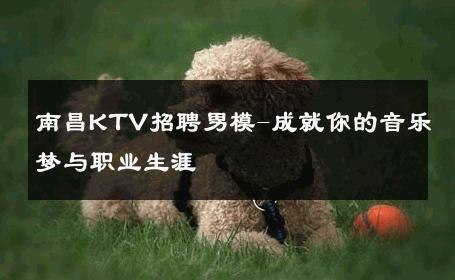 南昌KTV招聘男模-成就你的音乐梦与职业生涯 
