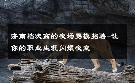济南档次高的夜场男模招聘-让你的职业生涯闪耀夜空 