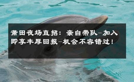 莆田夜场直招：亲自带队-加入即享丰厚回报-机会不容错过！ 