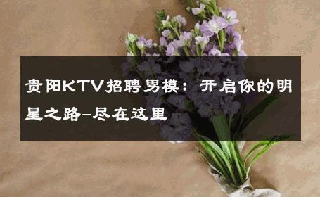 贵阳KTV招聘男模：开启你的明星之路-尽在这里 