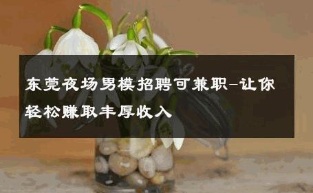 东莞夜场男模招聘可兼职-让你轻松赚取丰厚收入 