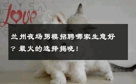 兰州夜场男模招聘哪家生意好？最火的选择揭晓！ 