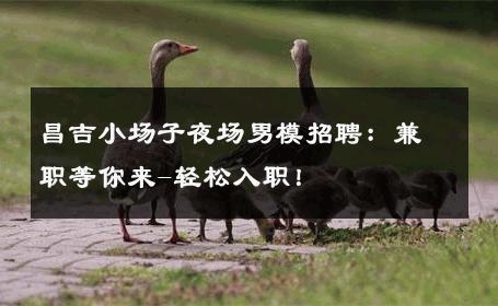 昌吉小场子夜场男模招聘：兼职等你来-轻松入职！ 