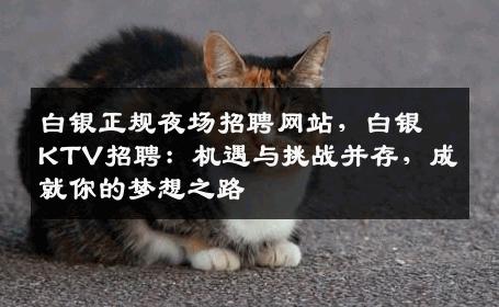 白银正规夜场招聘网站，白银KTV招聘：机遇与挑战并存，成就你的梦想之路