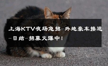 上海KTV夜场急招-外地豪车接送-日结-招募火爆中！ 