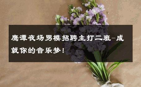 鹰潭夜场男模招聘主打二班-成就你的音乐梦！ 
