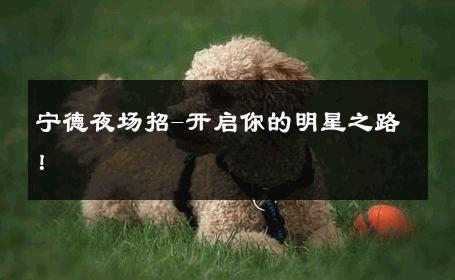 宁德夜场招-开启你的明星之路！ 