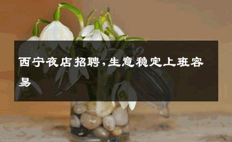 西宁夜店招聘,生意稳定上班容易 