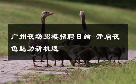 广州夜场男模招聘日结-开启夜色魅力新机遇 