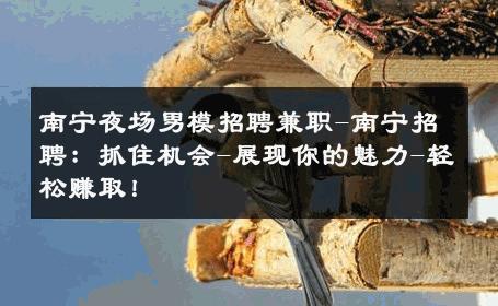 南宁夜场男模招聘兼职-南宁招聘：抓住机会-展现你的魅力-轻松赚取！ 