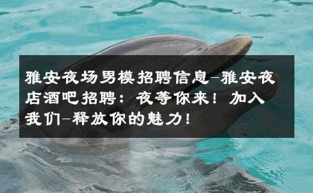 雅安夜场男模招聘信息-雅安夜店酒吧招聘：夜等你来！加入我们-释放你的魅力！ 