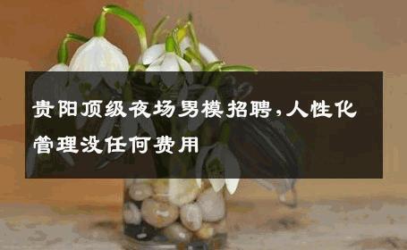 贵阳顶级夜场男模招聘,人性化管理没任何费用 
