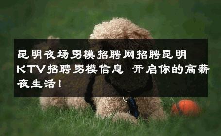 昆明夜场男模招聘网招聘昆明KTV招聘男模信息-开启你的高薪夜生活！ 