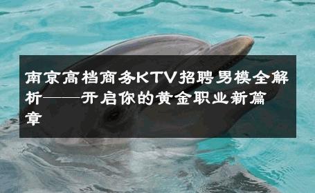南京高档商务KTV招聘男模全解析——开启你的黄金职业新篇章 