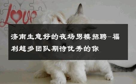 济南生意好的夜场男模招聘-福利超多团队期待优秀的你 