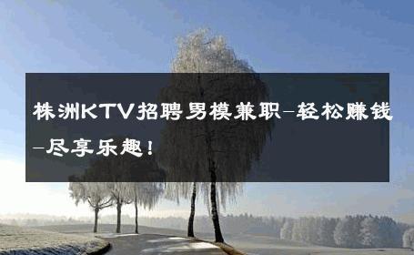 株洲KTV招聘男模兼职-轻松赚钱-尽享乐趣！ 