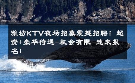 潍坊KTV夜场招募震撼招聘！超资+豪华待遇-机会有限-速来报名！ 