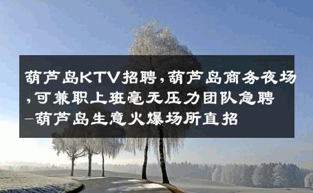 葫芦岛KTV招聘,葫芦岛商务夜场,可兼职上班毫无压力团队急聘-葫芦岛生意火爆场所直招