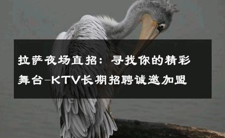 拉萨夜场直招：寻找你的精彩舞台-KTV长期招聘诚邀加盟 