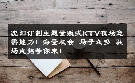沈阳订制主题量贩式KTV夜场急需魅力！海量机会-场子众多-驻场直招等你来！ 