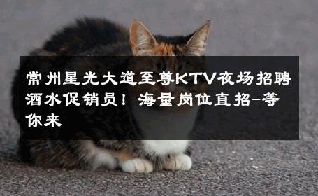 常州星光大道至尊KTV夜场招聘酒水促销员！海量岗位直招-等你来 