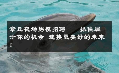 章丘夜场男模招聘——抓住属于你的机会-迎接更美好的未来！ 