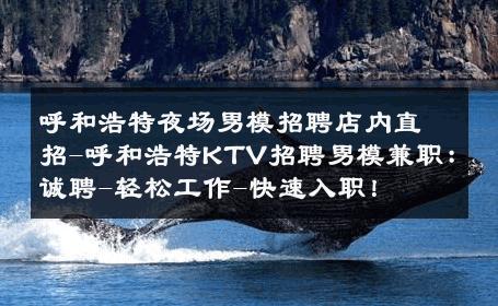 呼和浩特夜场男模招聘店内直招-呼和浩特KTV招聘男模兼职：诚聘-轻松工作-快速入职！ 