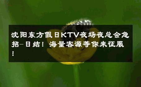 沈阳东方假日KTV夜场夜总会急招-日结！海量客源等你来征服！ 