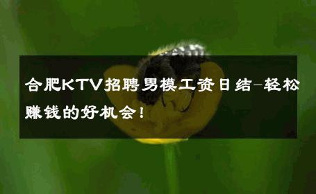 合肥KTV招聘男模工资日结-轻松赚钱的好机会！ 