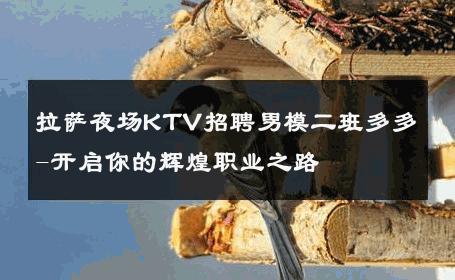 拉萨夜场KTV招聘男模二班多多-开启你的辉煌职业之路 