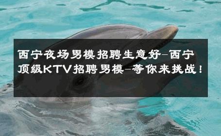西宁夜场男模招聘生意好-西宁顶级KTV招聘男模-等你来挑战！ 