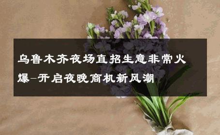乌鲁木齐夜场直招生意非常火爆-开启夜晚商机新风潮 