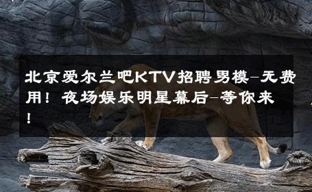 北京爱尔兰吧KTV招聘男模-无费用！夜场娱乐明星幕后-等你来！ 